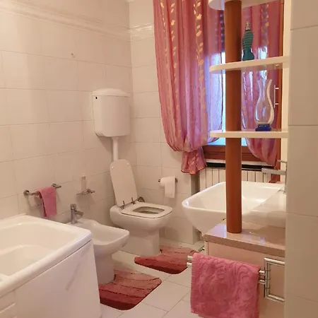 Duplex Carpi